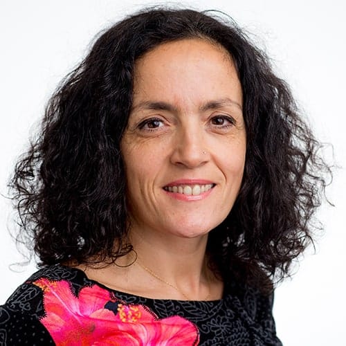 Tiziana Di Matteo @private, member of the External Faculty of the Complexity Science Hub