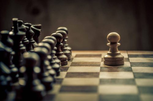 New classification of chess openings, created by researchers at the Complexity Science Hub © Shutterstock