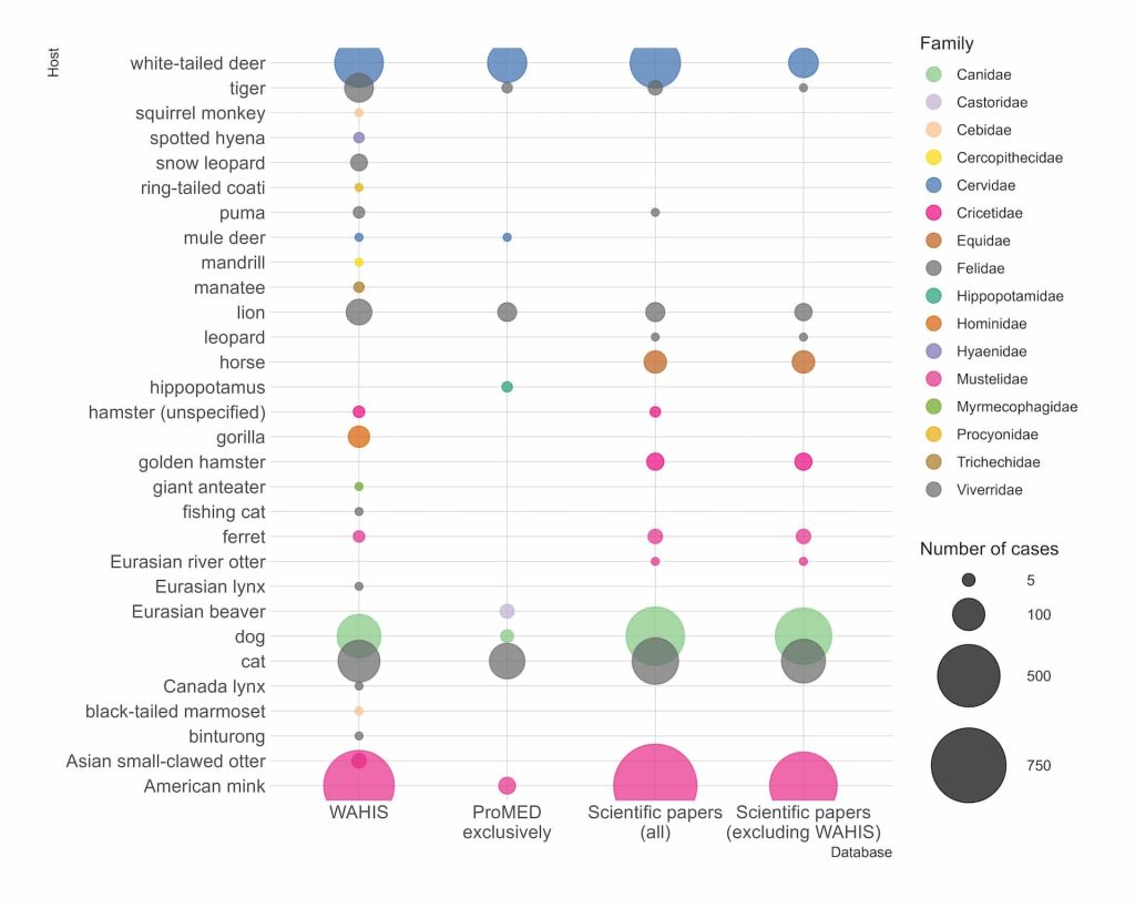Bubble chart showing the number of cases per animal species © Complexity Science Hub and Vetmeduni