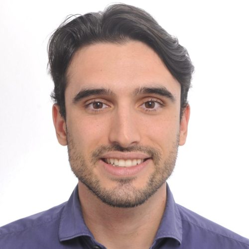 Guillermo Prieto Viertel joined the Complexity Science Hub in September 2024 as a PhD Candidate