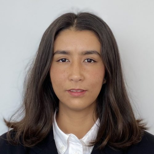 Masuma Sultani joined the Complexity Science Hub as a Research Assistant.